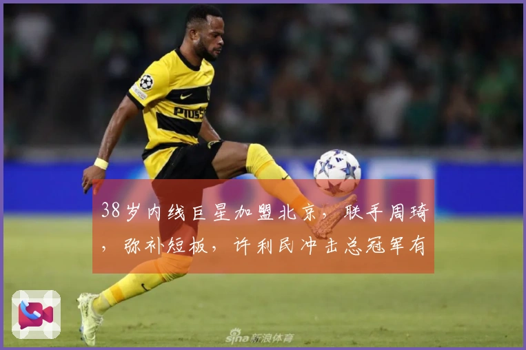 38岁内线巨星加盟北京，联手周琦，弥补短板，许利民冲击总冠军有希望